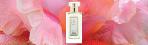LA VIE DENSE Eau de Parfum Feminino